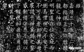 以俭约自律应对外部挑战