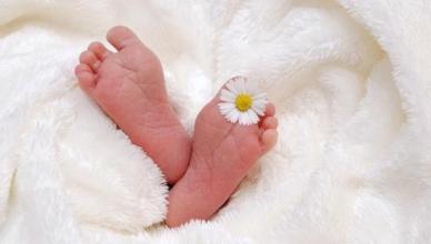 名字灵感：康姓女宝宝2025年8月8日出生