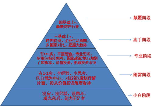 （一）盲目跟随较高风险因素投资项目