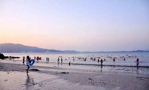 大梅沙 - 下饺子现场直播！