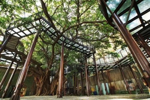 二、  外部环境的优化与疏导