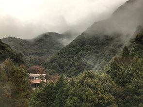 一、 别被“必去”误导，先把心放空