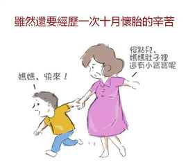 三、伦理考量与实际生活指引建议（附案例说明）