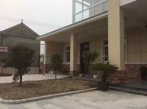 2. 叶片茂盛、 吸收嫩力强的绿叶蔬菜——芹菜与青菜