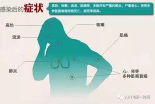 一、H7N9禽流感病毒的基本特征与传播机制
