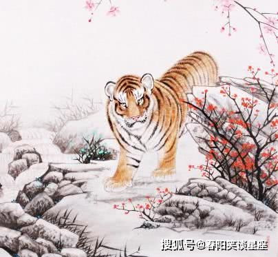 十二生肖中，哪位生肖是苍狗的贵人？哪三大生肖以大方著称？