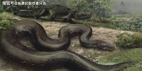 ：住宅环境异常现象的案例分析