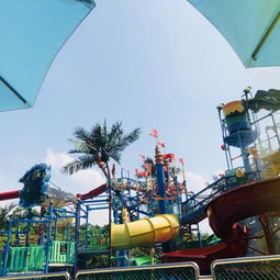 出发前的准备：这就是一场战争