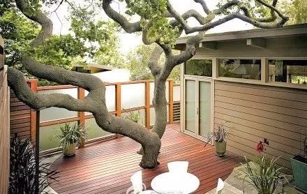 屋顶种树？2026年风水大师都不敢这么玩！