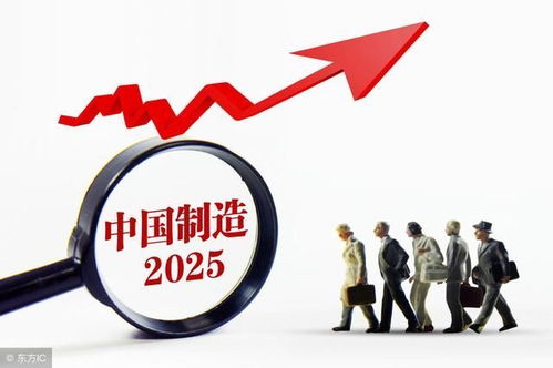 三、  生肖适配性与优选日期的横向比较