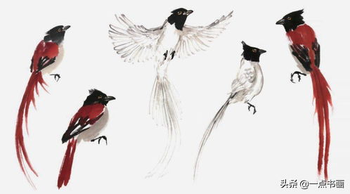 2.1 夫妻和谐的象征