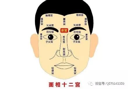 2. 细而浓的眉毛：和谐之象与好运降临