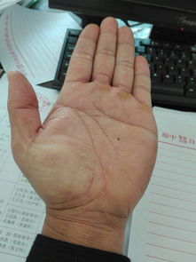 在线测算法网站拍照免费测手相，为何准确性能达到令人惊叹的地步？