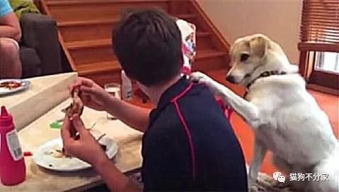 1. 空间布局建议