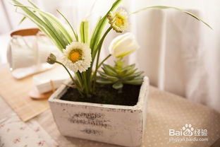 室内摆放花卉对风水有益吗？有哪些花草不宜摆放？