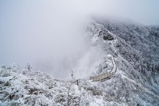 阴阳界云海… 简直是仙境