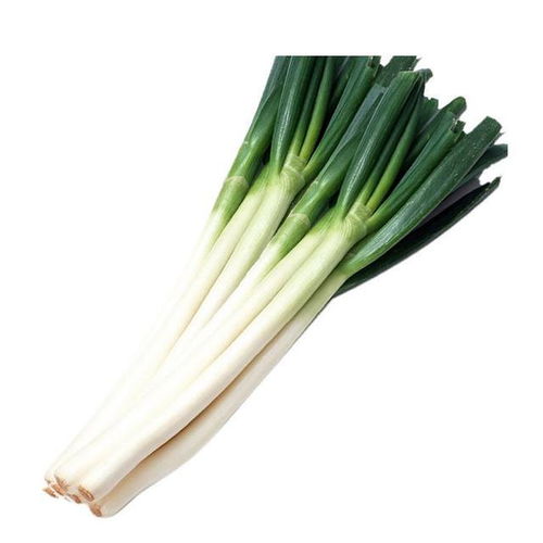 葱啊葱，你那绿油油的身姿藏着多少秘密？