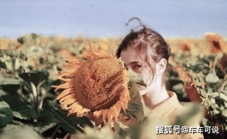 狮子男：豪情万丈的情感担当