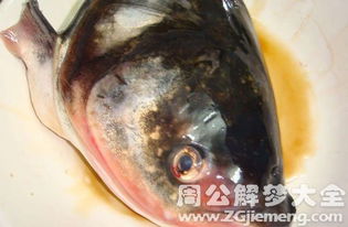 女人梦见鱼头预示着什么有什么特殊含义吗？