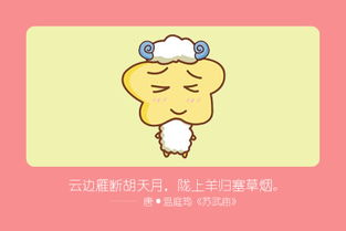情感关系