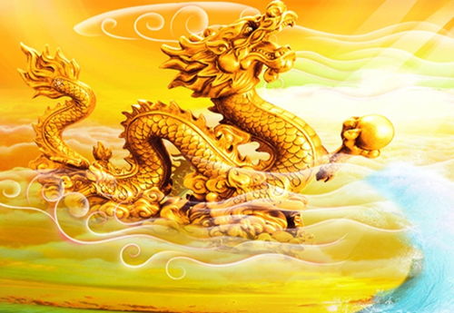 龟和龙生的怪胎