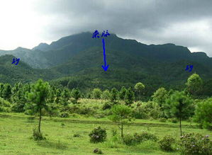 田螺墓地十大诡异现象