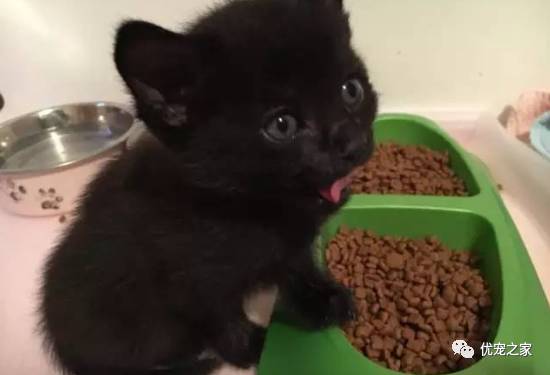 个人卫生与环境清洁的重要性