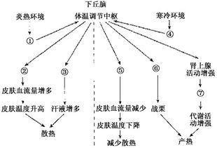 2. 日时相冲破：百事皆凶