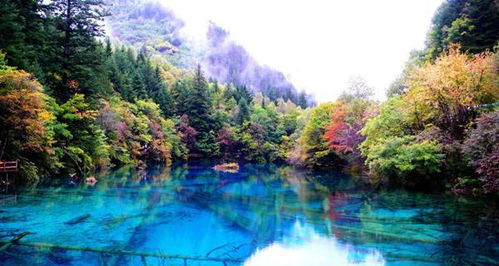 核心场域四:石象湖·石象寺——湖光山色映衬下舍利塔影里永恒安住境界探微