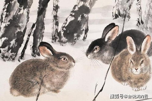 属兔女性：踏实低调而天生具备财气