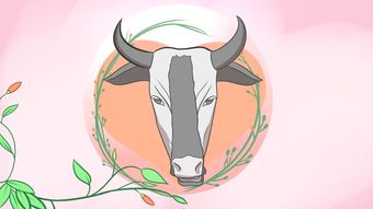 男牛女鸡属相合婚吗？牛爸鸡妈生的兔宝宝命运如何？