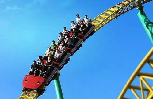 心路历程堪比过山车