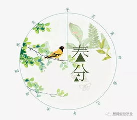 一、春分时节的天文气象特征与生物机能反应