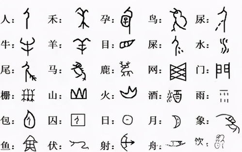 玩(wán)：玩乐人生才是真谛？