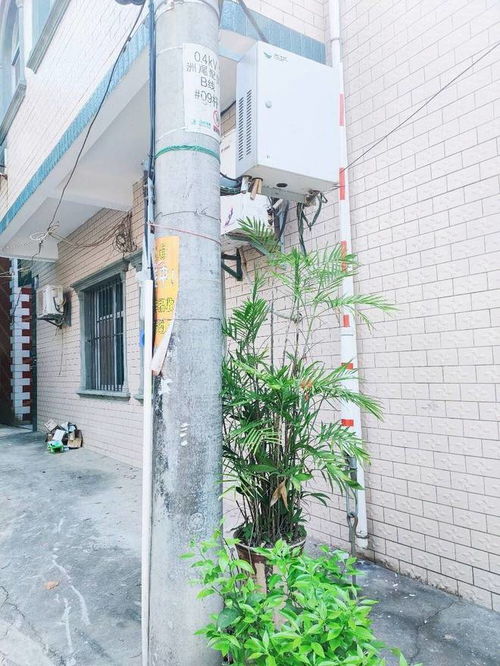 1. 生物屏障法：带刺植物的生克制化