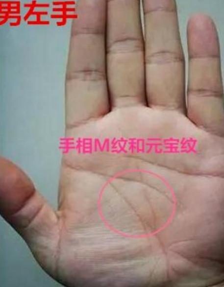 女性手相中哪种手型最能助升职？