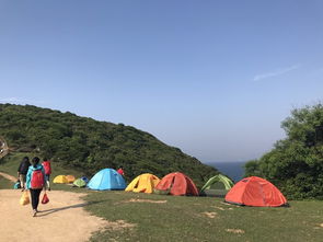 帐篷租赁的经济持续发展学：280元/晚的双人帐篷，值不值？