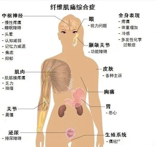 4.  疾病的影响: 一些疾病可能引发体内浊气秽邪