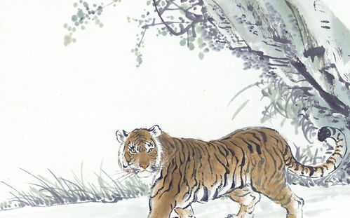 季姓虎宝宝霸气男孩名字两个字，能否改写为两个字霸气长尾男孩名字？