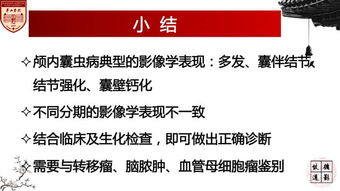 五、个人适配性分析：是否适合本人学习？