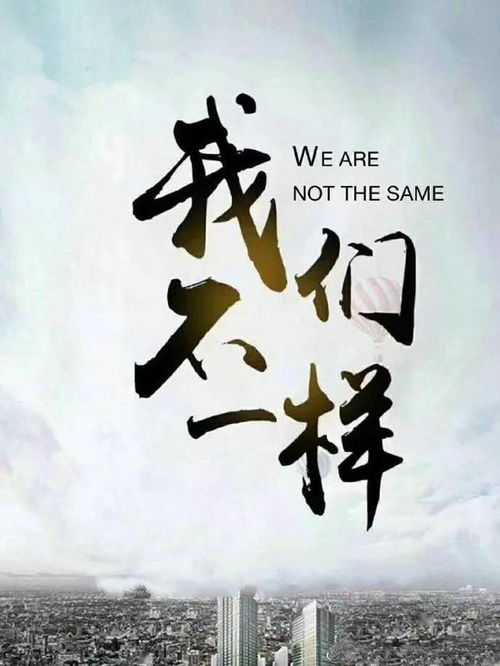 二、文化底蕴演变：从政治领域哲理到情感表达
