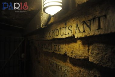 风水学视域下的蝙蝠：福泽与灵性的象征