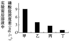 探究背景与目的