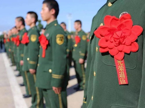 生命灵数与生肖结合的实践模式