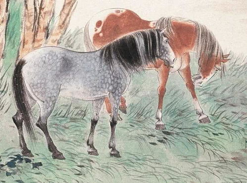 少年多情属何生肖？白头少年打一生肖何意？