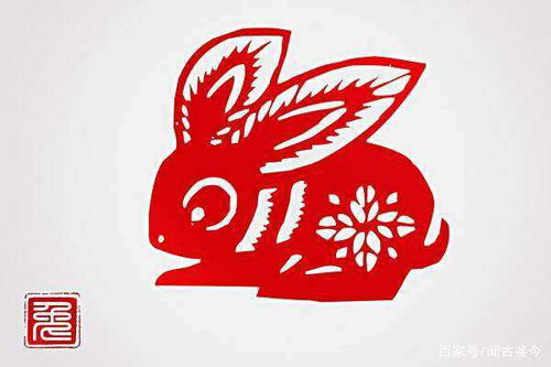 属兔的婚姻配对有哪些，男女属相婚配表大全里生肖兔的配对情况是怎样的？