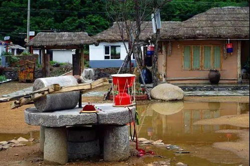 2. 贵州泉凤源饮食民俗文化村：资源优势与节庆活动融合发展路径