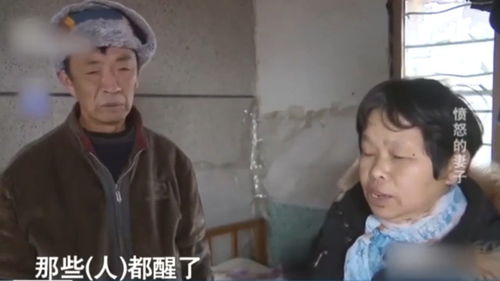 事件的起因与经过