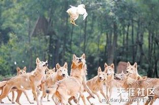 四、  现代社会背景下的“本性”解读：