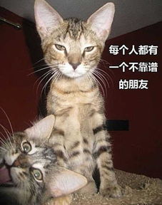 1. 炎彬是个啥玩意儿？